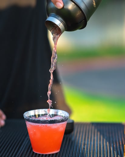 Gallery photo 2 of BlueJay Bartending