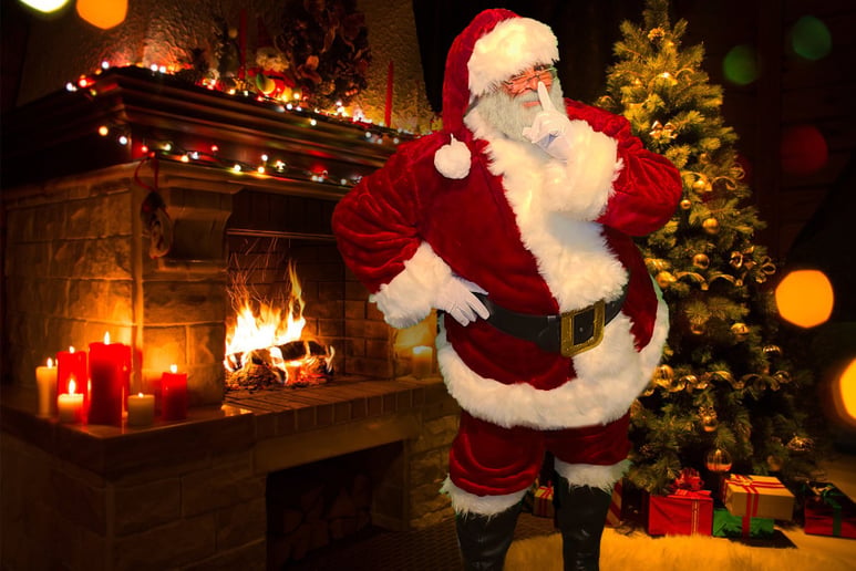 Gallery photo 8 of Santa and Mrs Claus for Hire