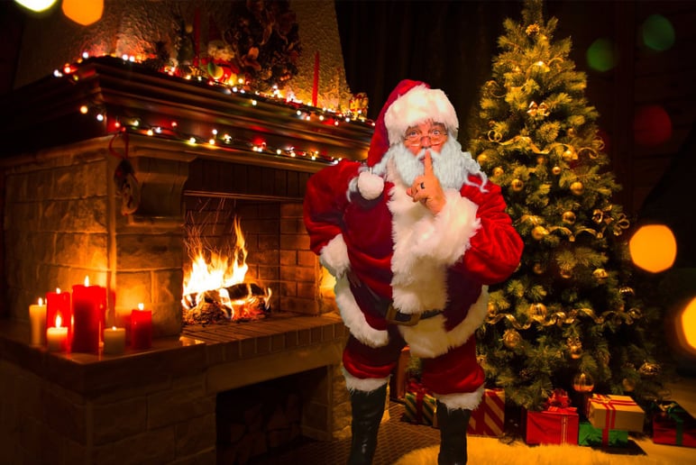 Gallery photo 19 of Santa and Mrs Claus for Hire