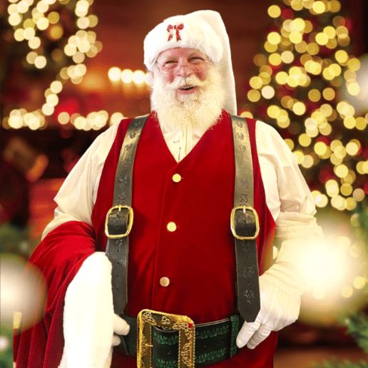 Gallery photo 5 of Santa and Mrs Claus for Hire