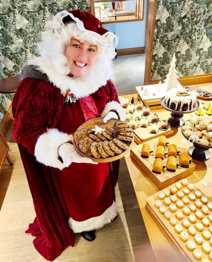 Gallery photo 34 of Santa and Mrs Claus for Hire