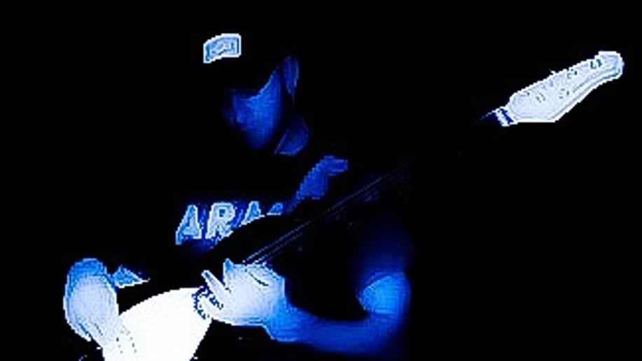 Gallery photo 6 of Blues Gator