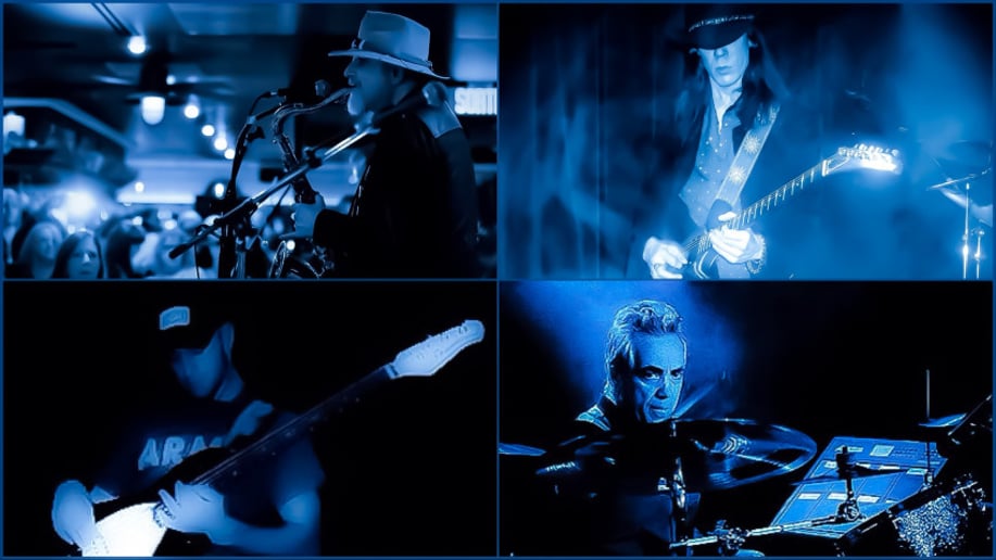 Gallery photo 8 of Blues Gator
