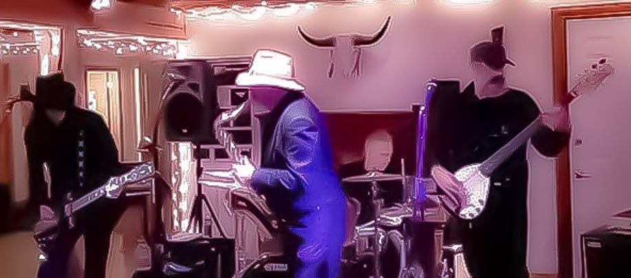 Gallery photo 9 of Blues Gator