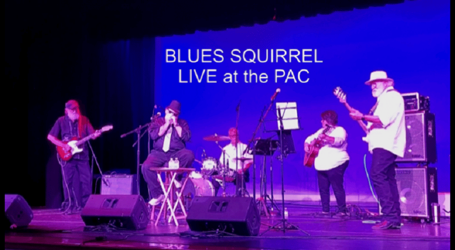 Gallery photo 6 of Blues Squirrel