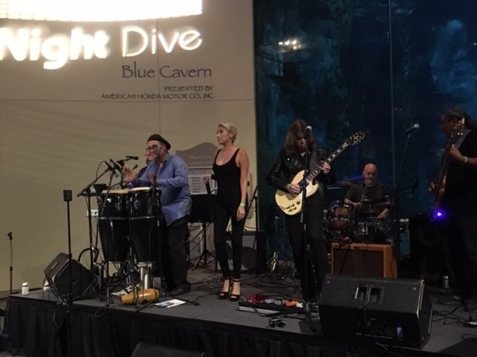 Gallery photo 2 of Blues Wave Dave