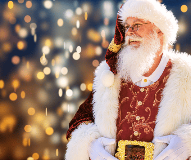 Gallery photo 2 of Bluffton Santa
