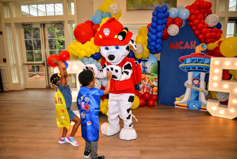 Gallery photo 65 of Bluu Whale Kids Entertainment