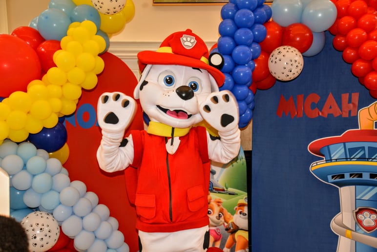 Gallery photo 67 of Bluu Whale Kids Entertainment