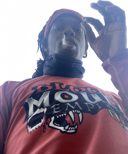 Gallery photo 2 of BME KillerKassMoula