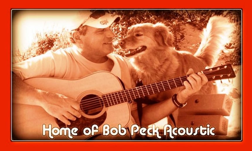 Gallery photo 6 of Bob Peck Music with friends