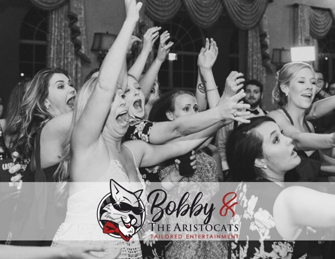 Gallery photo 10 of Bobby and The Aristocats