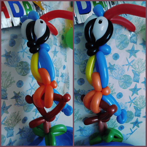 Gallery photo 9 of Bonanza Balloons