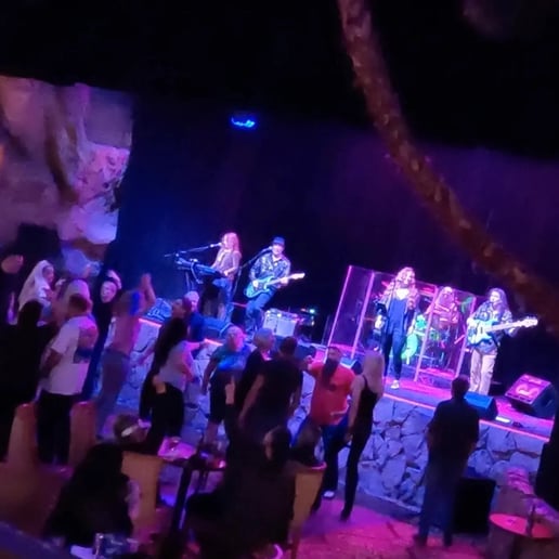 Gallery photo 3 of SAUCY BAND Tribute Act to the 70's Dance Hits "BOOGIE WAVE"