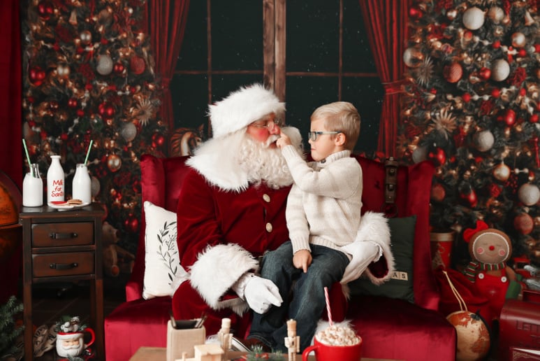 Gallery photo 7 of Book Santa Claus Johnny