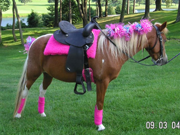Gallery photo 2 of Boomerang Parties