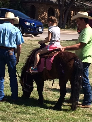 Gallery photo 8 of Boots and Bows Pony Parties