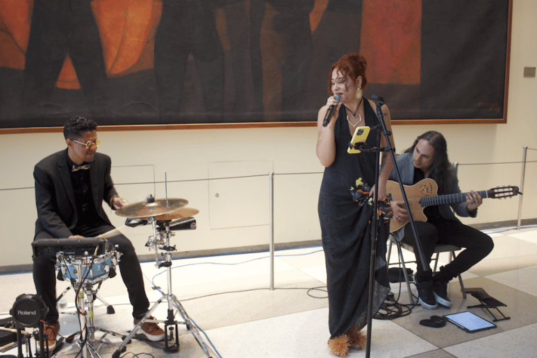 Gallery photo 7 of Bossa Brazil Duo
