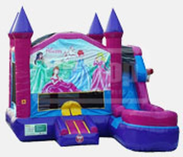 Gallery photo 4 of Bounce Bounce Party Rentals