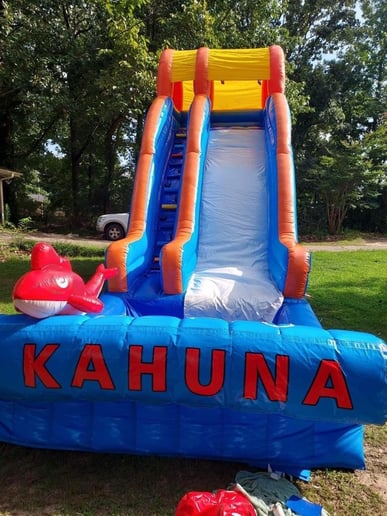 Gallery photo 2 of Bounce House Brookhaven