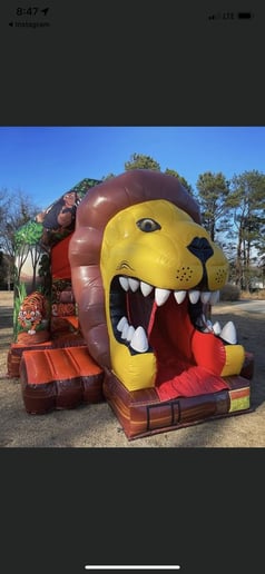 Gallery photo 3 of Bounce House Brookhaven
