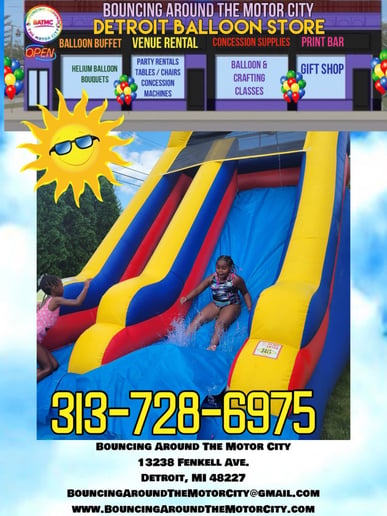 Gallery photo 8 of Bouncing Around The Motor City
