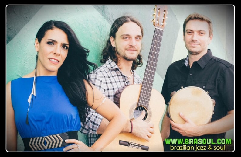 Gallery photo 2 of Brasoul