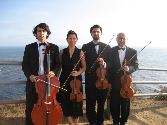Gallery photo 18 of Bravo String Quartet / Bravo Music