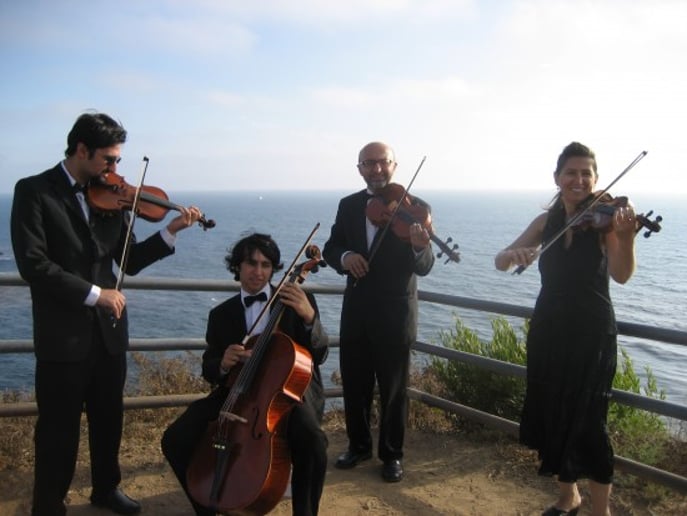 Gallery photo 13 of Bravo String Quartet / Bravo Music