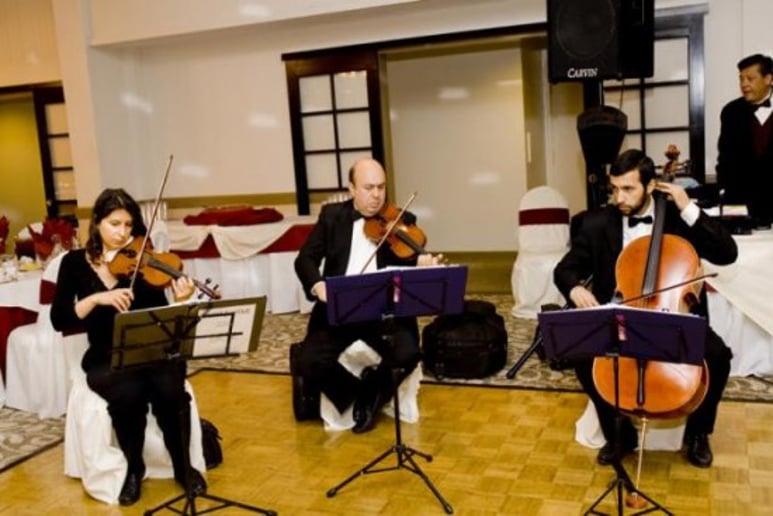 Gallery photo 14 of Bravo String Quartet / Bravo Music