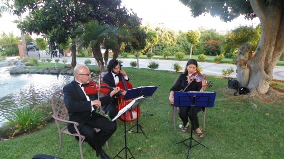 Gallery photo 20 of Bravo String Quartet / Bravo Music