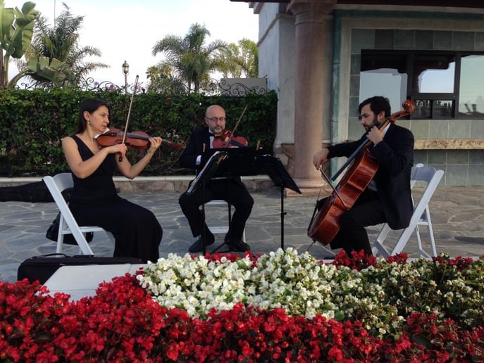 Gallery photo 8 of Bravo String Quartet / Bravo Music
