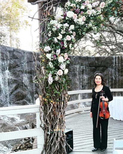 Gallery photo 1 of Bravo String Quartet / Bravo Music