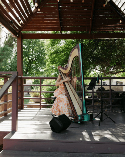 Gallery photo 4 of Braya the Harpist