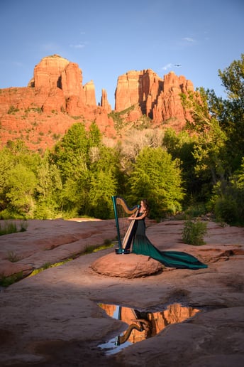 Gallery photo 6 of Braya the Harpist