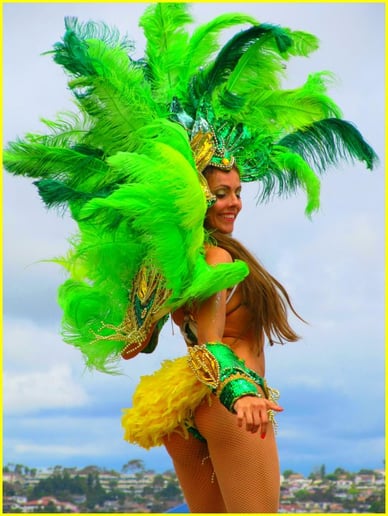 Gallery photo 17 of BrazilCarnival