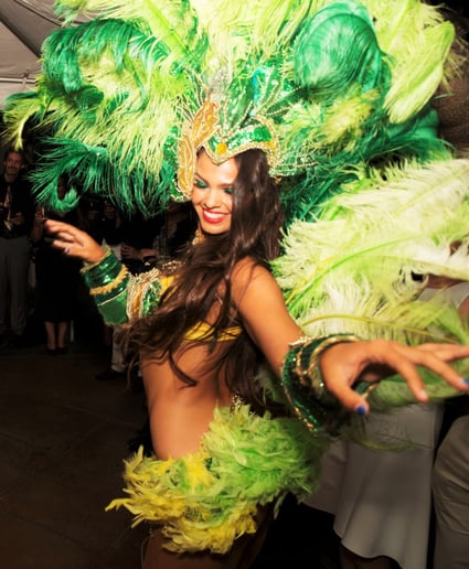 Gallery photo 4 of BrazilCarnival