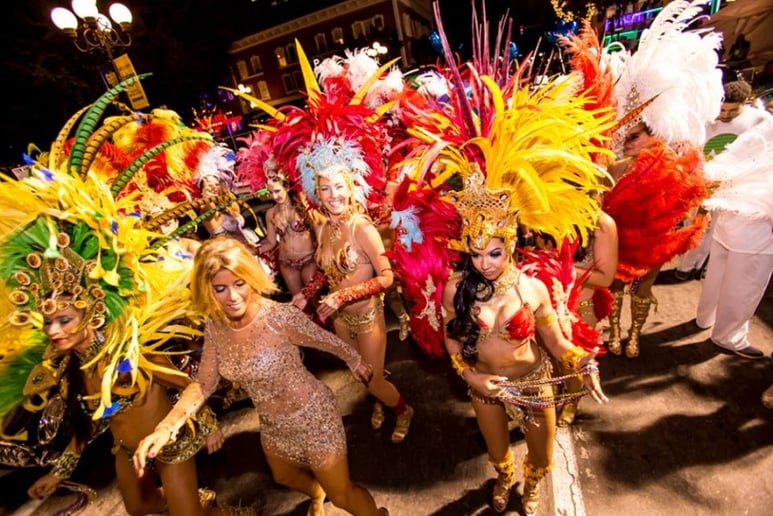 Gallery photo 7 of BrazilCarnival