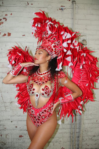 Gallery photo 4 of Sol do Samba Dance Collective