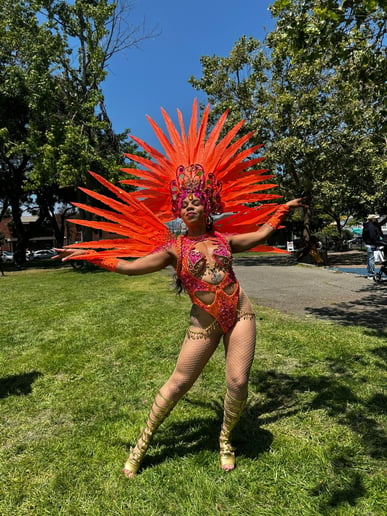Gallery photo 7 of Sol do Samba Dance Collective