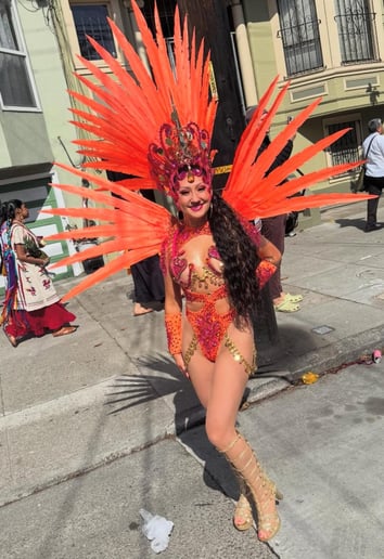 Gallery photo 8 of Sol do Samba Dance Collective