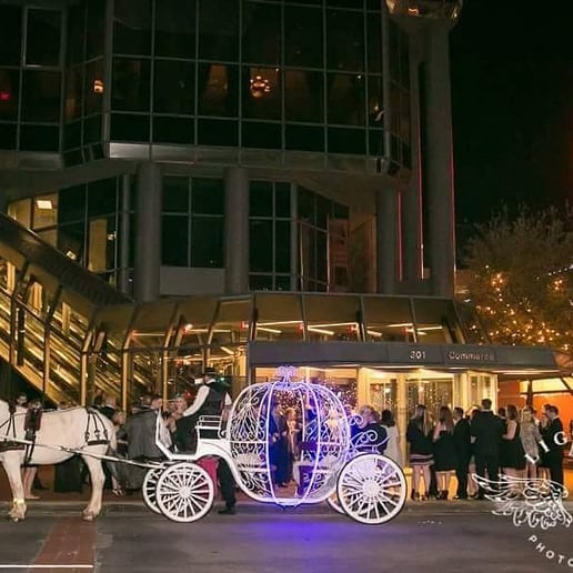 Gallery photo 1 of Brazos Carriage Co
