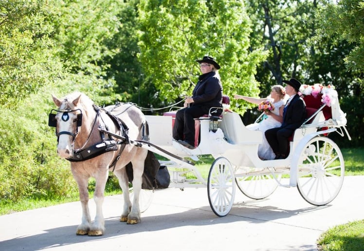 Gallery photo 2 of Brazos Carriage Co