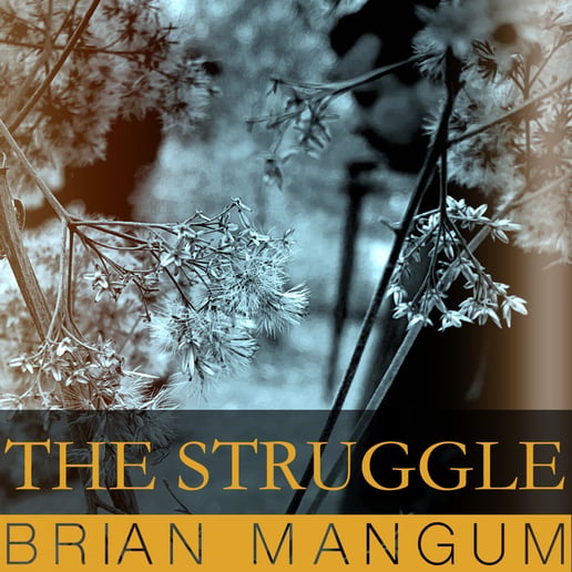 Gallery photo 4 of Brian Mangum