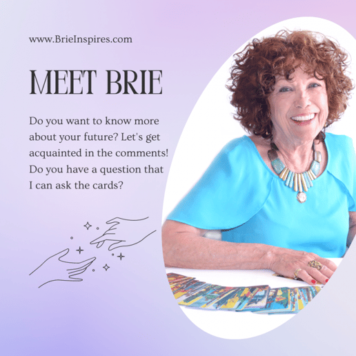 Gallery photo 6 of Brie Inspires