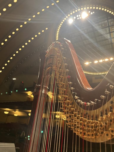 Gallery photo 3 of Brittany Blair, Harpist