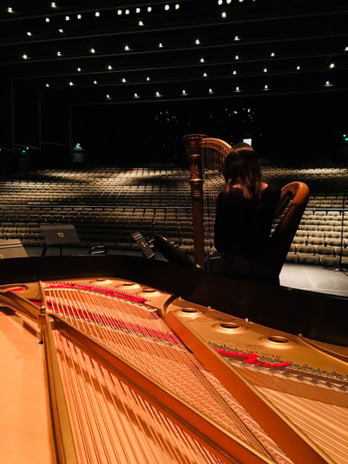 Gallery photo 6 of Brittany Blair, Harpist