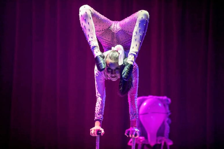 Gallery photo 8 of Halloween Inc.