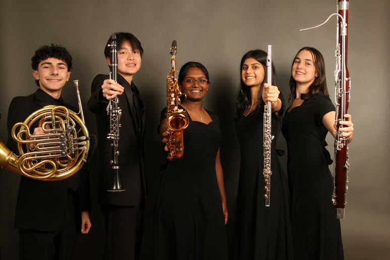 Gallery photo 2 of Broken Wind Quintet