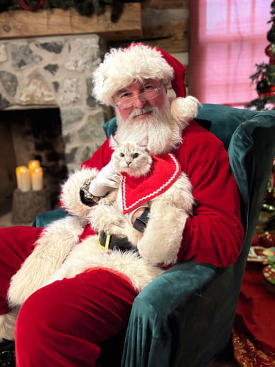 Gallery photo 8 of Tall Santa